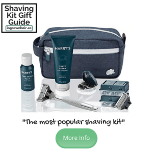 shaving kit gift guide 1 shaving kit gift guide (1)